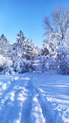 Скачать обои природа, дом, зима, снег, небо, пейзаж, раздел пейзажи в  разрешении 4000x2666 | Пейзажи, Зимние картинки, Живописные пейзажи