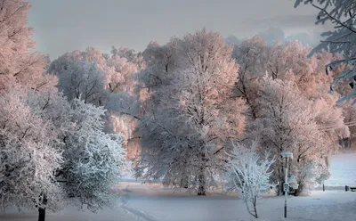 Дыхание зимы. Фотограф Оборотов Алексей