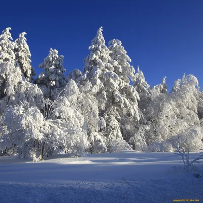 Картинки природа, зима, горы, лес, фотошоп, дом, лес, закат, небо,облака -  обои 1600x900, картинка №122895
