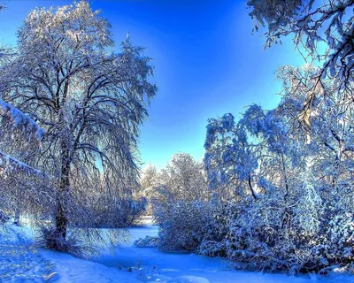 Самые красивые зимние пейзажи (69 фото) - 69 фото