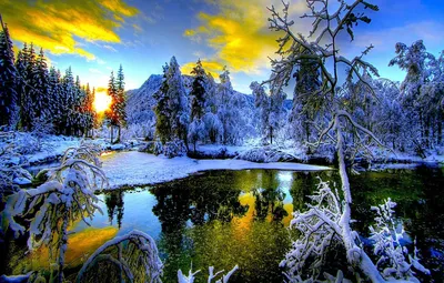 Зима#горы #деревья #снег в 2023 г | Пейзажи, Живопись, Зима