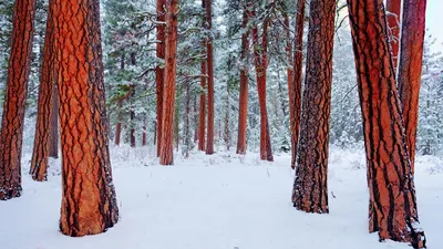 картинки : природа, зима, Горные рельефы, Замораживание, небо, гора, снег,  архитектура, Ледяная шапка, Мир, Ледниковый рельеф, облако, горный хребет,  Туристическая достопримечательность, характеристики воды, Ледяная  гостиница, Туризм 5184x3456 ...