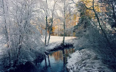 Обои на рабочий стол Зима, река, лес, деревья, пейзаж, природа, winter -  Зима - Природа - Картинки, фотографии
