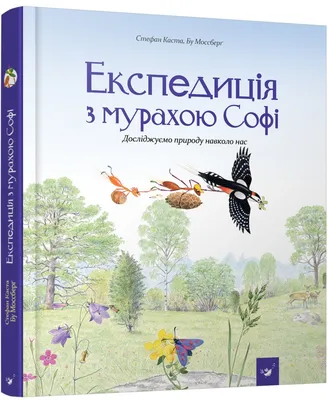 Раскраска Дерево клен (Раскраски про природу для детей, раскраски деревьев  распечатать ) | Раскраски деревья, их листья, цветение и семена