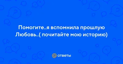 Как кот супругов помирил: история любви, прошедшей испытание разлукой,  ковидом и бизнесом — Амурская правда, новости Благовещенска и Амурской  области