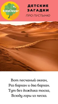 Какая красота есть у нас в России! Показываю пустыню в Астраханской  области. | Путешествия по России с  | Дзен