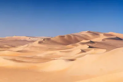 Почему Сахара превратилась в пустыню? | 