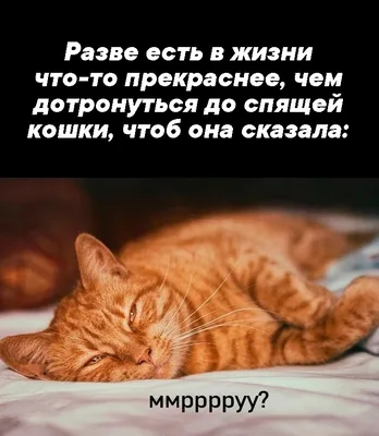 🤣 СМЕШНЫЕ объявления, которые можно встретить на любой работе | Призма  жизни | Дзен