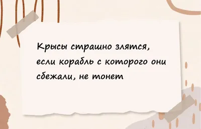 Кружка с добрым утром юмор работнику в офис прикол утро на работу |  AliExpress