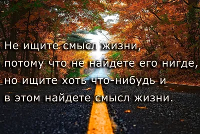 Пин от пользователя Алекс на доске Мое | Цитаты, Мотивационные цитаты,  Правдивые цитаты