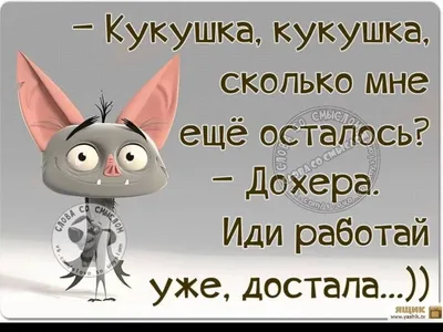 Смешные картинки с надписью про жизнь | Цитата про путешествия, Цитаты,  Мудрые цитаты