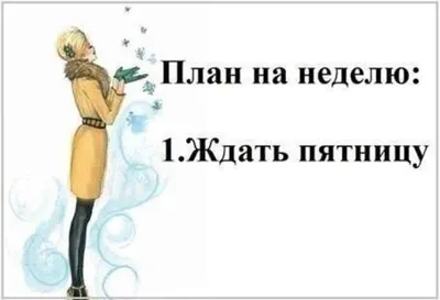 В Госдуме предложили работать в пятницу до обеда. По словам депутата  Светланы Бессараб, это никак не скажется на продуктивности.. | ВКонтакте