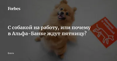 Вечер пятницы пришёл, как же это хорошо! Отдыхайте от ... | ПРИВЕТСТВИЯ и  ПОЖЕЛАНИЯ, открытки на каждый день. | Фотострана | Пост №2598486296