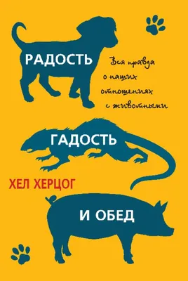 Как подарить радость на Рождество? | Служба помощи «Милосердие»