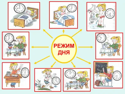 Дрофа Плакат Распорядок дня - Акушерство.Ru