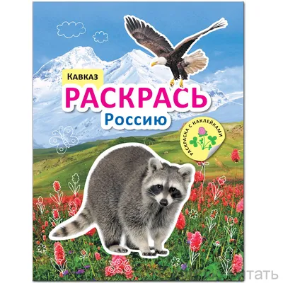 Книга "Дорога в Россию. Учебник русского языка. Первый уровень" Антонова В  Е, Нахабина М М, Толстых А А - купить книгу в интернет-магазине «Москва»  ISBN: 978-5-907123-58-8, 1036334