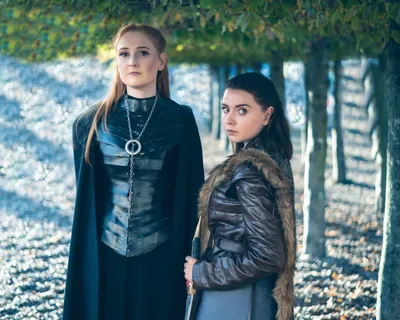 How Game of Thrones' Arya and Sansa played the game of gender politics and  won - Vox