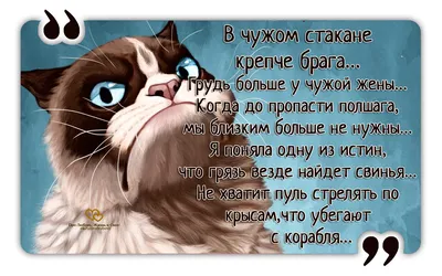 Создать мем "прикольные статусы про себя любимую, приколы, смешные приколы"  - Картинки - 