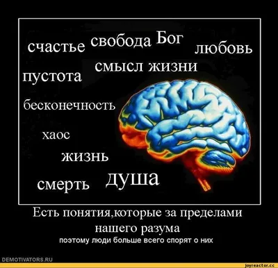 Смерть с косой и смысл жизни. | Жизнь за гранью реальности. | Дзен