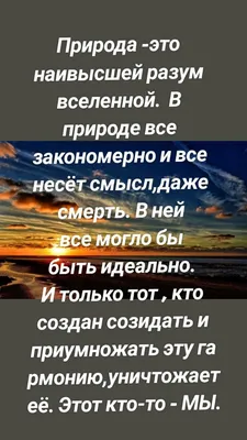 Рефлексия, смерть и смысл жизни. Вечные темы в эссе «Письма погибшему  другу» Князь Процент | Пикабу