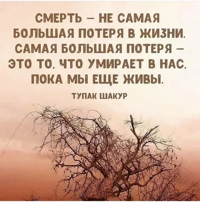 Ислам и семья on X: "#жизнь #смерть #потери #радость #мусульмане #смысл  #Аллах, #дуа #здоровье #любовь #семья #иман #вера #молитва #исламисемья  /OKLFUozs5B" / X