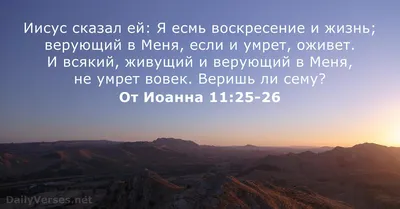 Христос воскрес – и смерть побеждена! Пасхальные рассказы и стихи купить -  Свет Фавора