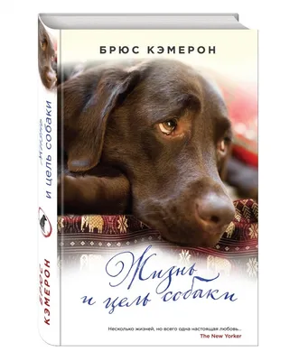 Книги про собак