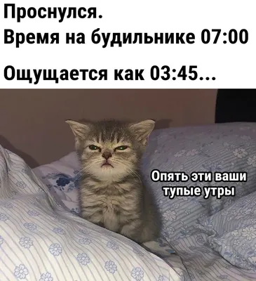 Денисова Т. С.: Спокойные родители, здоровый малыш. Про сон, питание,  болезни и другие важные темы с позиции: продажа, цена в Алматы. Медицинская  литература от "MARWIN-Меломан" - 105912950