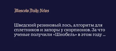 Алгоритм сплетников и запор у скорпионов: объявлены победители Шнобелевской  премии - Телеканал "Наука"