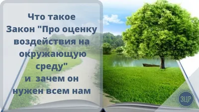 Право на благоприятную окружающую среду как конституционное и Экологическое  право – тема научной статьи по праву читайте бесплатно текст  научно-исследовательской работы в электронной библиотеке КиберЛенинка