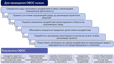 Позитивная картинка на среду с милым песиком