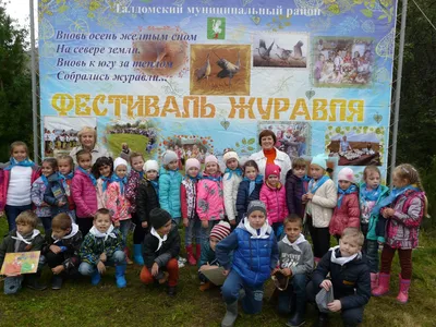 Raptors Conservation 43/2021 by Igor Karyakin - Issuu