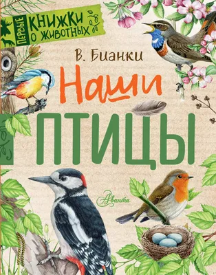 Книга Наши птицы - купить детской художественной литературы в  интернет-магазинах, цены на Мегамаркет | 978-5-17-156892-4