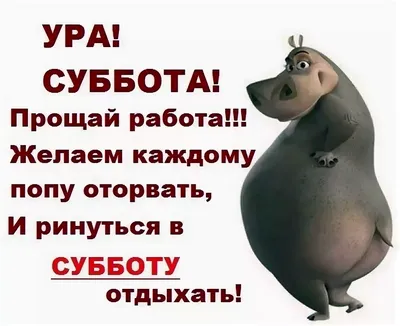 Что ты будешь делать в выходные? - А в выходные тоже что-то надо делать? /  картинка с текстом :: выходные :: что делать :: кот / смешные картинки и  другие приколы: