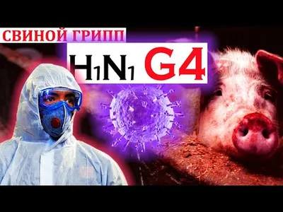 Pandemic (H1N1) 2009 in the Americas: What's Next? - PAHO/WHO | Pan  American Health Organization