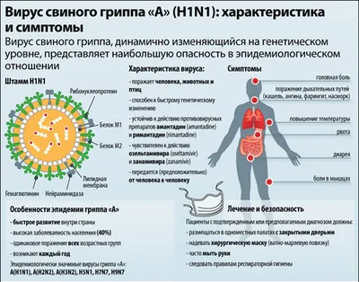 Свиной» грипп: клиника и профилактика | Новости Йошкар-Олы и РМЭ