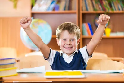Какие факторы влияют на успешность обучения Вашего ребенка в школе? |  Окурсах.ру | Дзен