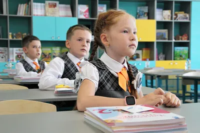 Лучше тройки, чем забросить учебу»: психолог – о нежелании ребенка ходить в  школу - Газета.Ru