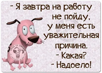 От безделья тоже можно сильно устать | Пикабу