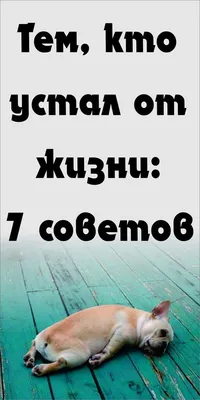 Усталость от жизни на лице старого…» — создано в Шедевруме