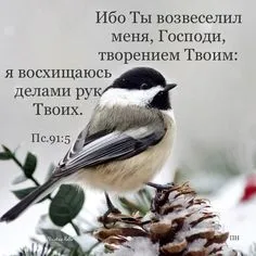 Как снова обрести веру в Бога? - Православный журнал «Фома»