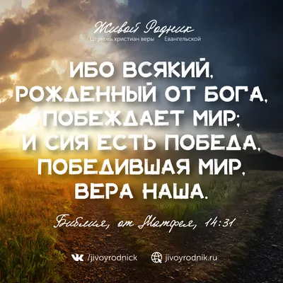 Звезда сериала «Про Веру»: всё о невесте Янковского и дочери Кинчева -  7Дней.ру