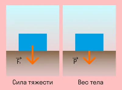 6 причин: почему вес стоит