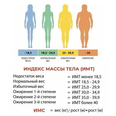 Чеснок весовой (средний вес: 250 г) - купить с доставкой в Ростове-на-Дону  - STORUM