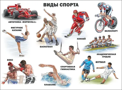 Женские виды спорта | Новости 