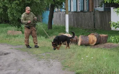 Виолетта - красота в каждом слове» — создано в Шедевруме