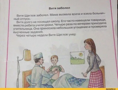 Кот - просто прекрасный»: Дудь заступился за толстого Витю из Владивостока,  которому отомстила авиакомпания - 