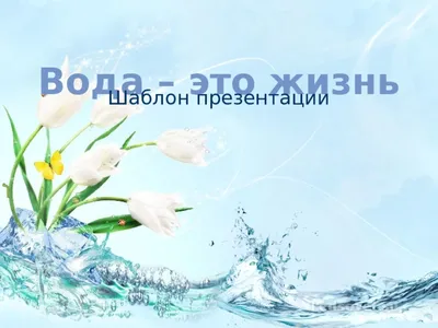 Презентация "Свойства воды" 5 класс