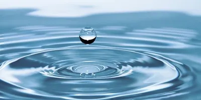 Почему важно беречь воду и как это делать?