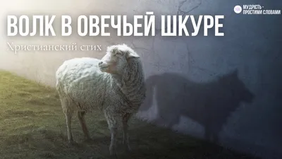 Волк в овечьей шкуре // христианский стих-притча - YouTube